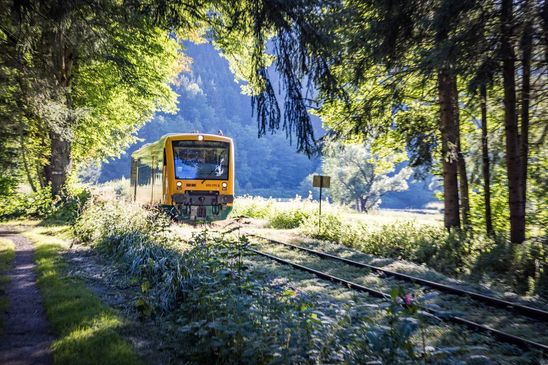 Unterwegs mit der Waldbahn